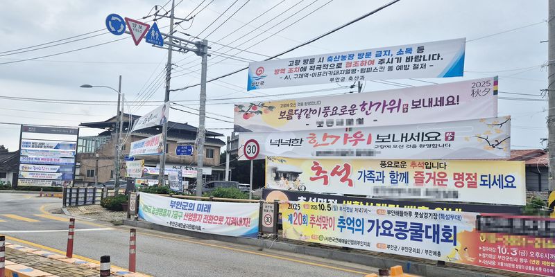 뉴시스