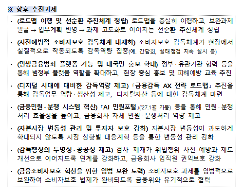 금융소비자보호 향후 추진 과제. 금융감독원 제공
