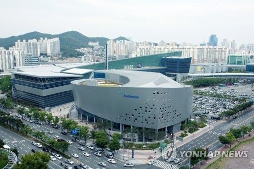 (출처=연합뉴스)