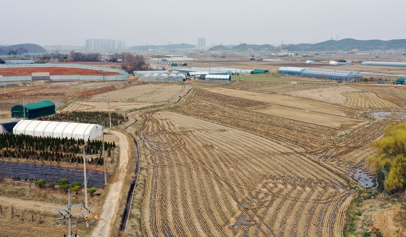 지난 4월 1일 경기도의 한 농지의 모습. 뉴스1