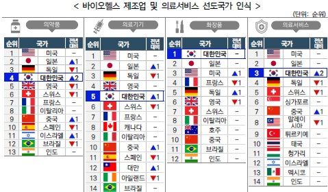 한국보건산업진흥원 제공