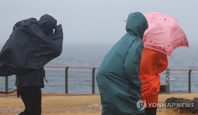 금요일 제주 시간당 30㎜ 집중호우…남해안 중심 남부에도 비 (출처=연합뉴스)
