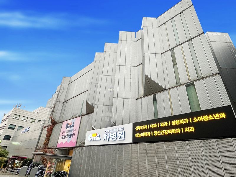 강남차병원 제공.