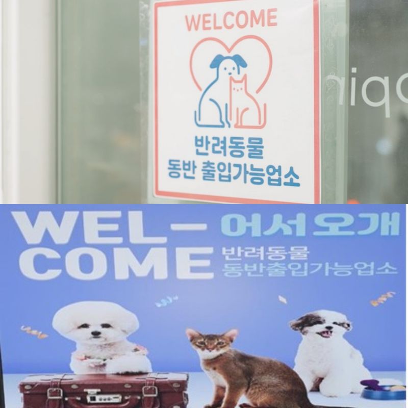 (출처=뉴시스/NEWSIS)