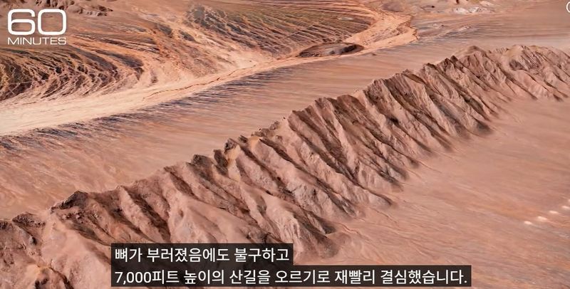 미사일 맞고 추락한 美 전투기…조종사가 50시간 버틴 방법