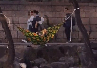 청계천에서 해먹을 치고 누워서 휴식을 취한 시민의 모습. 출처=SNS, 뉴스1