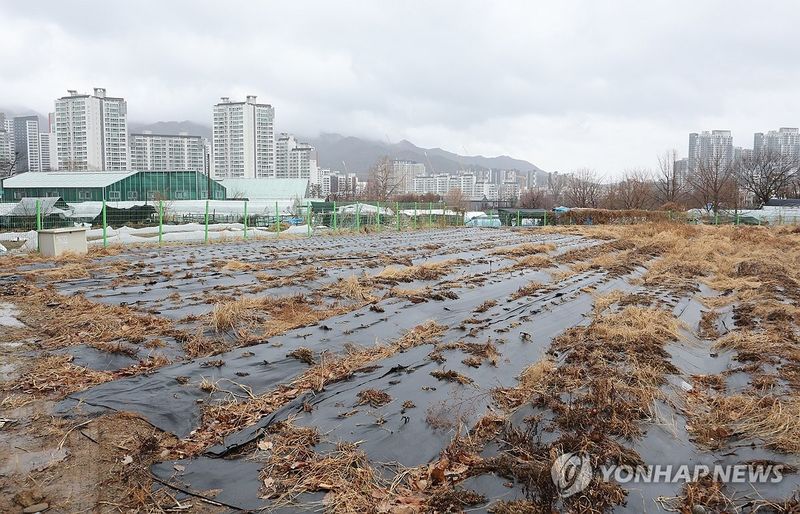 (출처=연합뉴스)