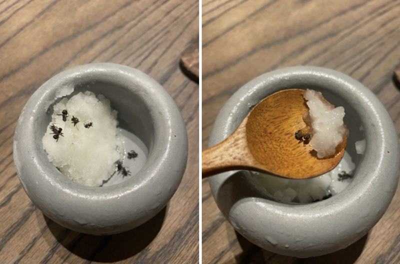 에빗의 코스 요리에 제공됐던 개미 소르베. 소르베 위에 개미 여러 마리가 토핑돼 있다. 사진=블로그 '라도먹깨비의 맛있는 이야기' 갈무리