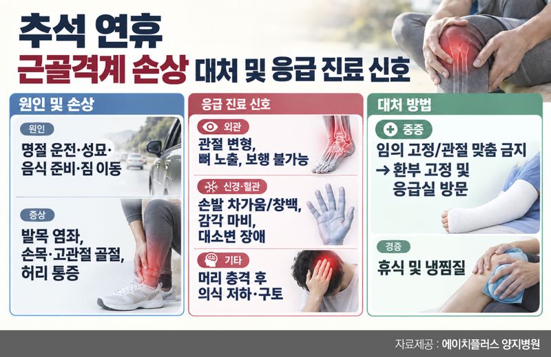 "삐끗한 것뿐인데"…낙상이 골절로 이어진다