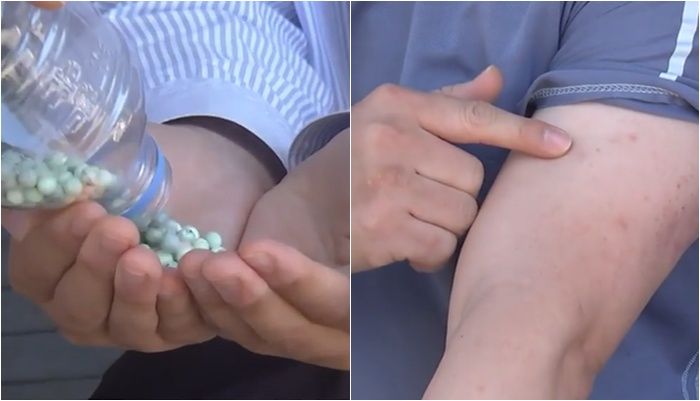 /사진=YTN 뉴스 캡처