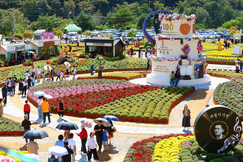 2026 인제 가을꽃축제가 지난 24일 막을 올린 가운데 인제 시티투어 버스가 축제장을 비롯해 백담사 등 인제 대표 관광지를 순회하고 있다. 뉴스1