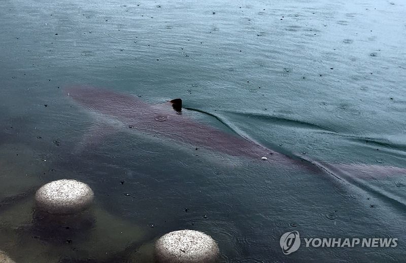/사진=연합뉴스
