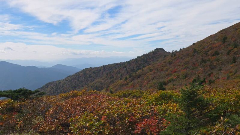 28일 강원 설악산국립공원 고지대 일원에 단풍이 피어 있다. 기상청은 이날 설악산에 단풍이 들기 시작했다고 밝혔다. 설악산국립공원사무소 제공