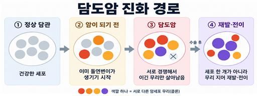색깔이 다른 원은 서로 다른 암세포 무리를 뜻하며, X는 경쟁에서 밀려 사라진 무리다. 수술 후 재발·전이도 세포 한 개가 아닌 여러 세포 무리가 함께 일으킨다. 분당서울대병원 제공