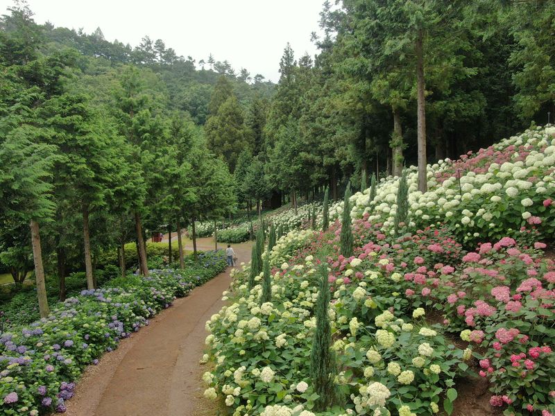 전남광주통합특별시(광주특별시)는 산림청과 한국수목원정원관리원이 선정한 '2026 대한민국 아름다운 민간정원 30선'에 전남광주 지역 민간정원 15곳이 포함됐다고 밝혔다. 사진은 '쉼과 회복을 선사하는 정원' 분야에 선정된 보성 성림정원 모습. 광주특별시 제공