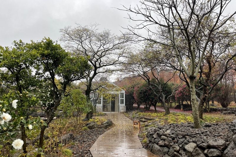 서귀포시 표선면 가시림수목원 산책로. 애기동백을 비롯한 식물과 제주 돌담이 어우러진 정원으로, 생각하는정원과 함께 ‘2026 아름다운 민간정원 30선’에 선정됐다. 사진=제주특별자치도