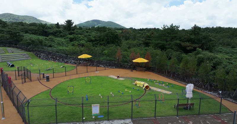 제주시 애월읍 제주 제2동물보호센터의 야외 놀이터. 오는 10월 11일 열리는 ‘제1회 제주 입양오름제’에서는 사전에 선정된 보호동물 20마리와 교감하고 함께 걷는 산책봉사 프로그램이 운영된다. 사진=제주특별자치도
