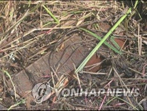 합참, 북한 수지 반보병지뢰 추가 사진 공개 (출처=연합뉴스)