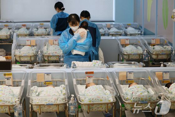 신생아실.(자료사진)/뉴스1