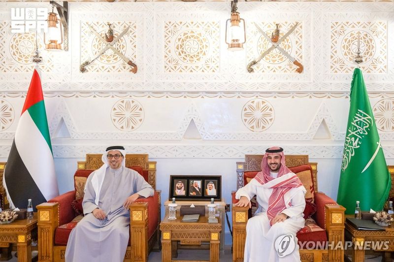 UAE 부통령-사우디 국방장관 회담 (출처=연합뉴스)