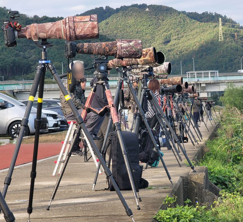 지난해 경북 포항시 남구 연일읍 형산강에서 멸종위기 야생생물 2급인 물수리를 촬영하기 위해 전국에서 모여든 생태사진작가들 모습. (뉴스1 자료. 재판매 및 DB 금지) 2026.9.30/뉴스1 ⓒ 뉴스1 최창호 기자