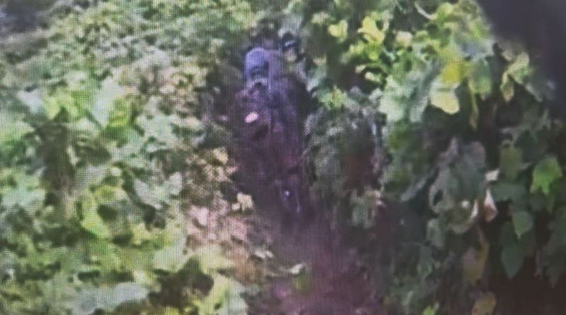 합동참모본부와 유엔군사령부 군사정전위원회가 지난 26일 서부전선 비무장지대(DMZ) 지뢰 추정 폭발 사고 조사에 앞서 기동로 확보 및 작전환경을 살피고 있다. /사진=뉴스1(합동참모본부 제공. 재판매 및 DB 금지)