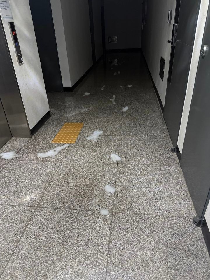 아파트 복도 바닥에 락스가 뿌려져 있다. 사진=스레드, 뉴시스