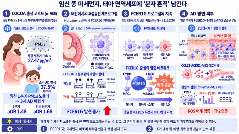 (경희대 제공)