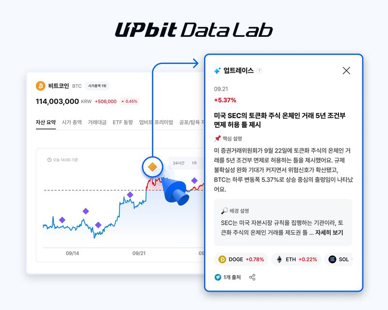 두나무 제공