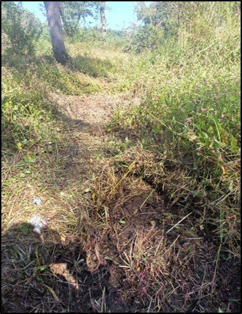 25사단 DMZ 작전간 지뢰 폭발상황 관련, 5일 합참 합동 현장조사 TF 최종 조사결과 발표 시 공개한 사진. 합동참모본부 제공