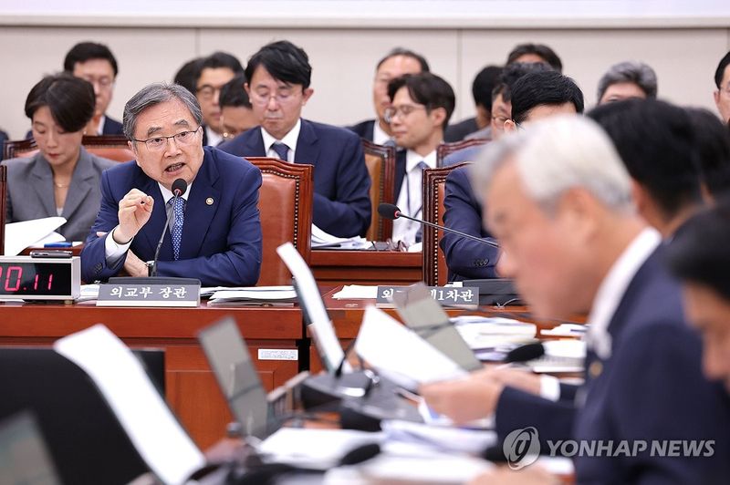 국정감사 질의 답변하는 조현 장관 (출처=연합뉴스)
