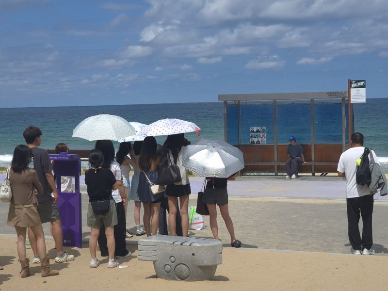 강릉 주문진 향호해변 BTS 정류장에서 기념촬영하고 있는 외국인 관광객들.(뉴스1 DB)