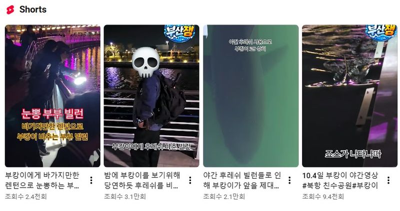 유튜브 채널 '부산잼'에 부산 북항 친수공원에 머무는 상어 '부캉이'와 주변 관람객들의 모습을 담은 쇼츠 영상들이 게시돼 있다. /사진=유튜브 부산잼 캡처, 뉴시스