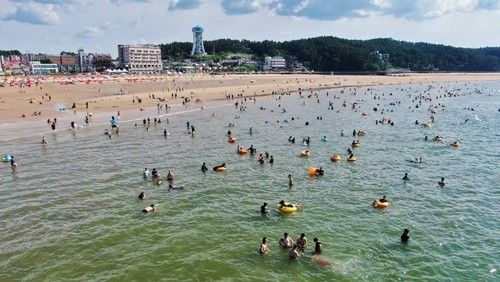 만리포해수욕장에서 물놀이 즐기는 피서객들 (출처=연합뉴스)