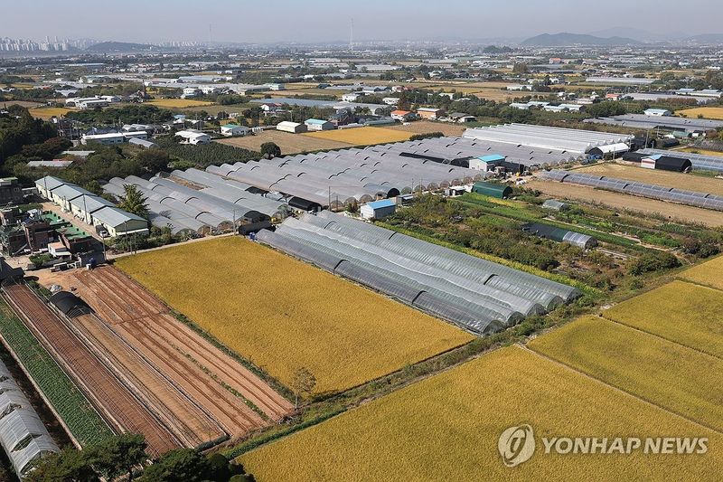 정부, 상속·고령농·임대차 농지 등 전수조사 처분서 제외 (출처=연합뉴스)