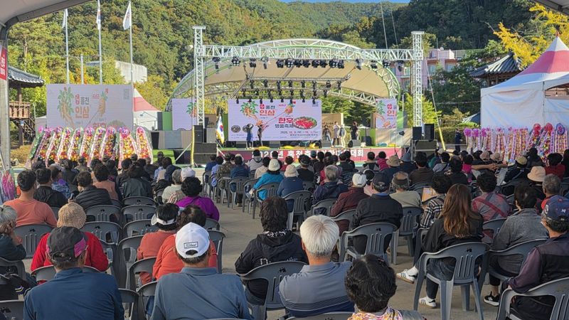 제24회 홍천 인삼·한우 명품축제가 막을 올린 가운데 토리숲 공연장에서 주민 한마음대회가 열렸다. 사진=김기섭 기자