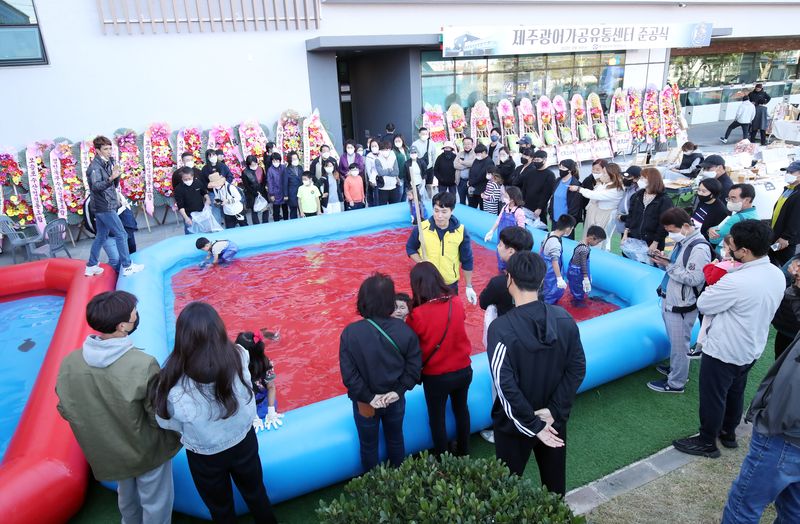 제주광어대축제에서 어린이들이 대형 수조에 들어가 광어 맨손잡기 체험을 하고, 관람객들이 주변에서 지켜보고 있다. 제주어류양식수협은 9일부터 11일까지 제9회 제주광어 대축제를 열어 광어 소비 촉진과 판로 확대에 나섰다. 사진=뉴스1