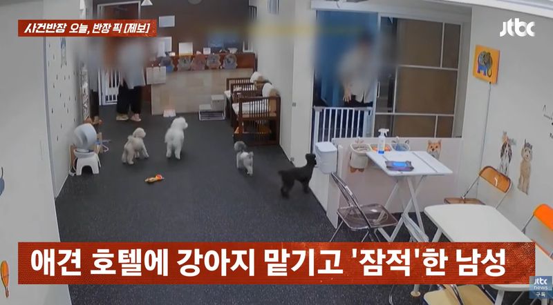 [서울=뉴시스] 최근 JTBC '사건반장'은 한 남성이 애견 호텔에 반려견을 맡긴 뒤 연락을 끊고 잠적했다는 사연을 다뤘다. (사진 : JTBC 유튜브 채널 캡처) *재판매 및 DB 금지