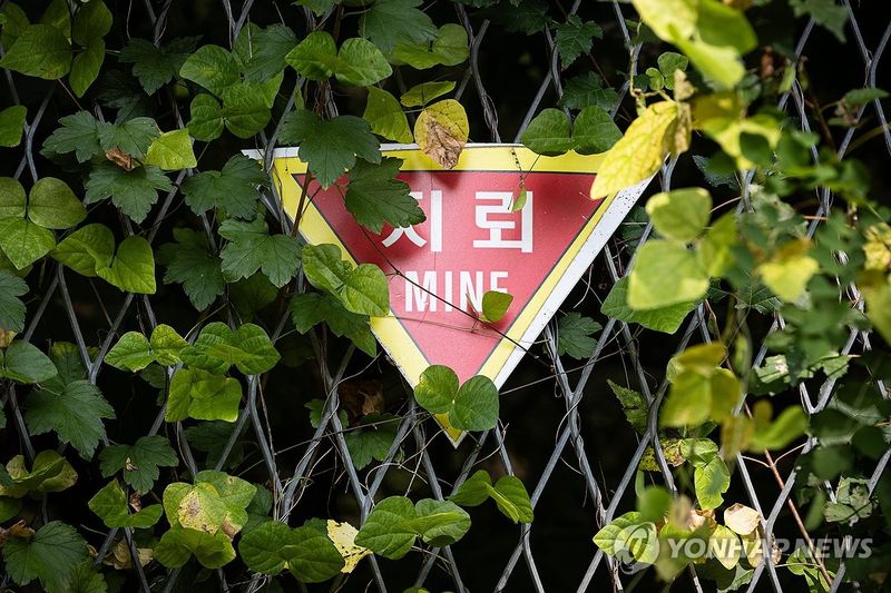 서부전선 DMZ 민통선의 지뢰 경고 표지판 /사진=연합뉴스