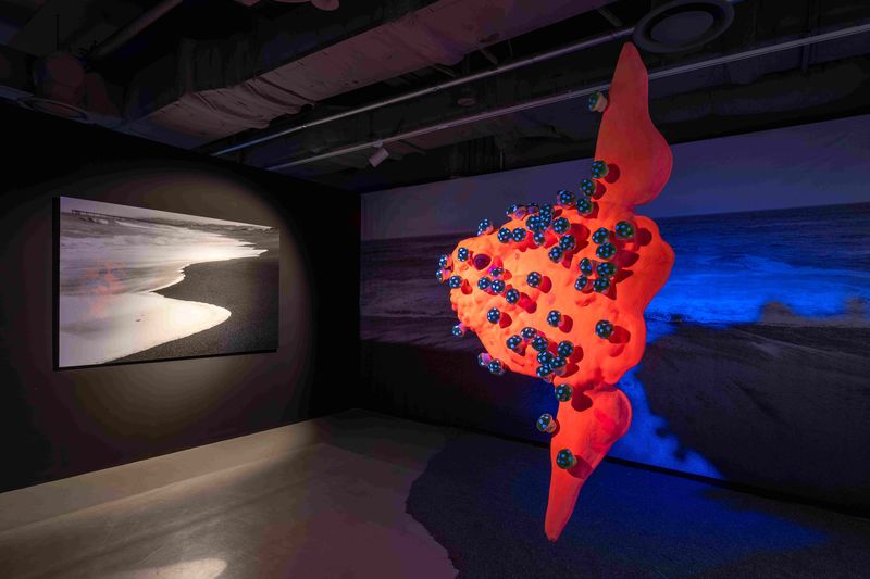 다니엘경의 'Sun Fish Meets the Black Sea'(2018). 폴리머 클레이와 에폭시, 스티로폼으로 개복치를 형상화했다. 조명박물관 제공