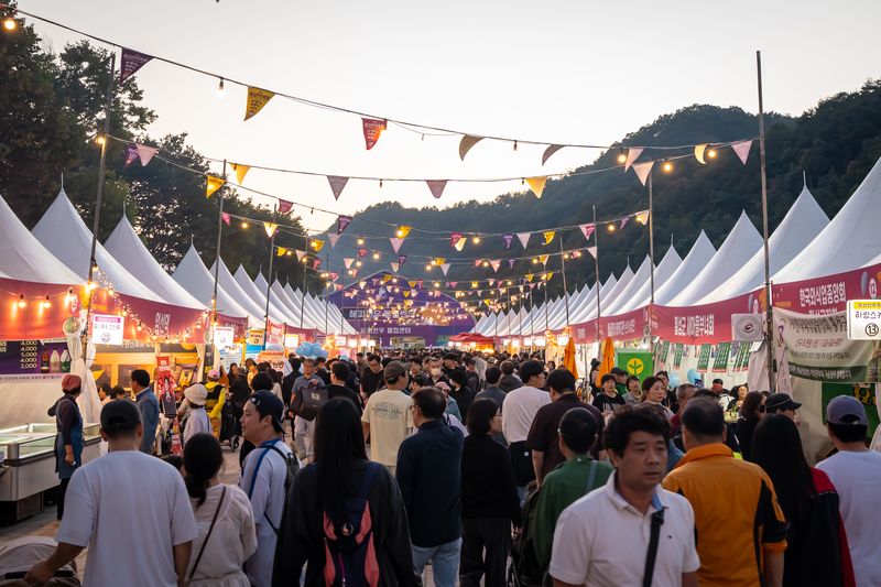 횡성군 섬강 둔치에서 열린 제22회 횡성한우축제장 먹거리 부스 거리가 방문객들로 북적이고 있다. 횡성문화관광재단 제공