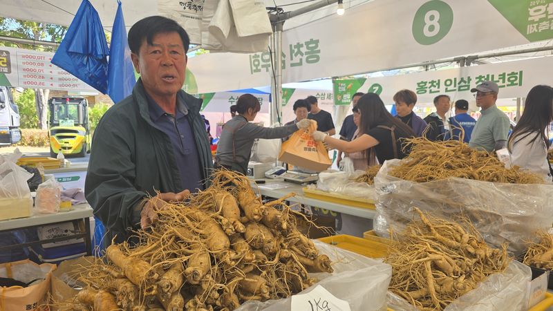 제24회 홍천 인삼·한우 명품축제 마지막 날인 11일 강원 홍천군 홍천읍 도시산림공원 토리숲 인삼판매장에서 한 상인이 수삼을 소개하는 가운데 뒤편에서는 방문객들이 인삼을 사 가고 있다. 사진=김기섭 기자