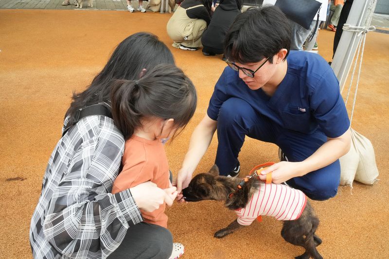 11일 제주시 애월읍 제2동물보호센터에서 열린 '제1회 제주 입양오름제'에서 어린이와 보호자가 자원봉사자의 안내를 받으며 보호 강아지와 교감하고 있다. 이날 행사에는 보호동물 20마리가 참여해 예비 입양자들과 만나고 입양상담을 받았다. 사진=제주특별자치도