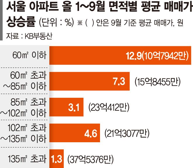 서울 중소형도 ‘16억 시대’… 규제 피해 ‘더 작은 집’ 몰렸다