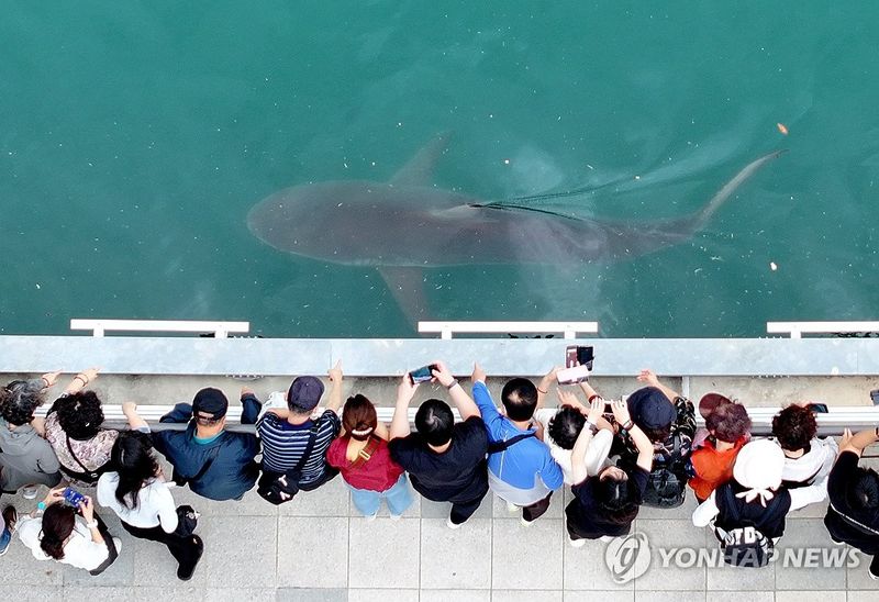 연합뉴스