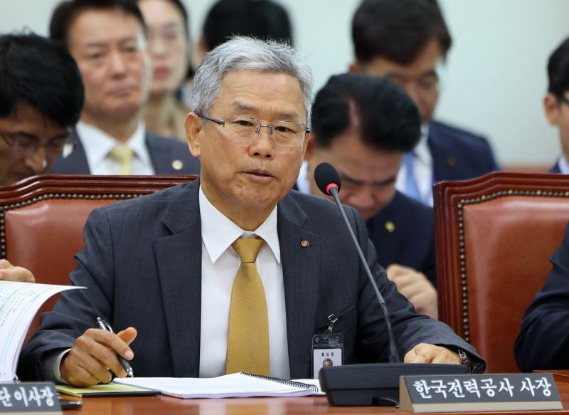 김동철 한국전력공사 사장이 12일 국회에서 열린 산업통상자원중소벤처기업위원회 국정감사에서 위원들의 질의에 답하고 있다. 뉴시스