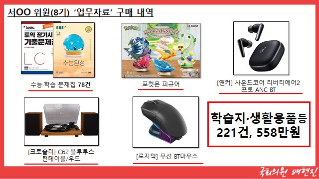 /사진=배현진 의원실