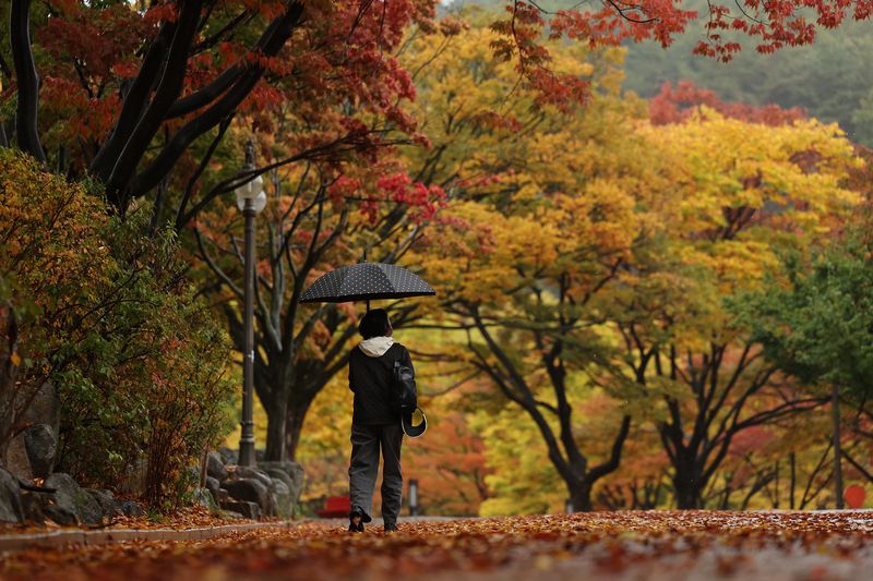 연합뉴스