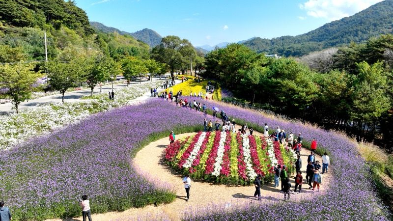 2026 인제 가을꽃축제 전경. 인제군 제공