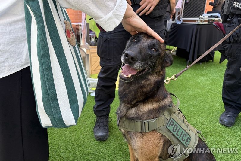 김용태 "은퇴봉사동물 지원예산 편성 2곳뿐…관리체계 개선해야" (출처=연합뉴스)